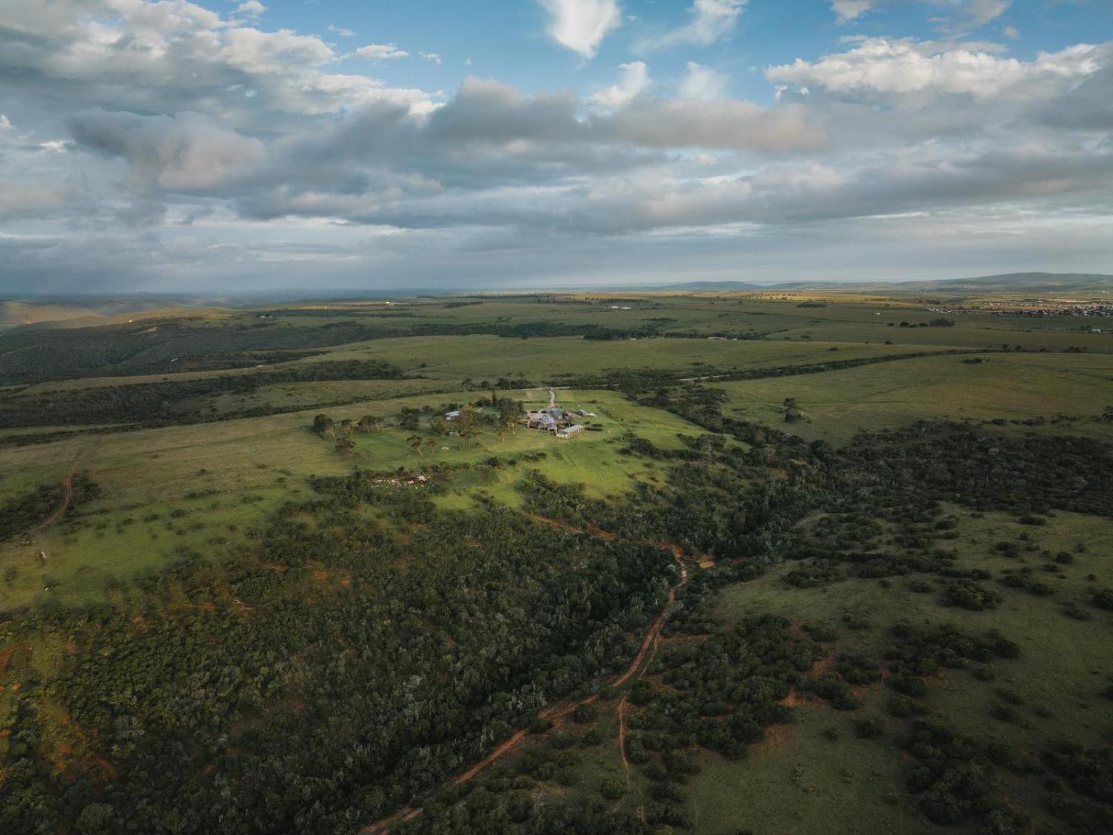 Umbono Private Game Lodge Alexandria  Kültér fotó